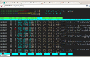 Onion Terminal screenshot 1