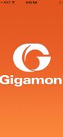 Gigamon screenshot 1
