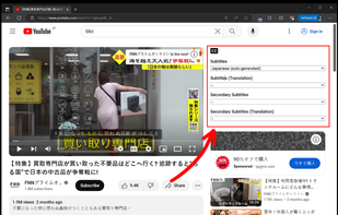Youtube Bilingual Subtitles screenshot 1