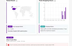 Visualizes where visitors come from and when they shop, then turns it into a clear “What to do now” action list (e.g., SEO focus, promo timing, retention next steps).