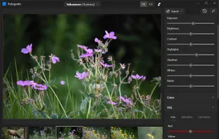 Fotografix screenshot 1