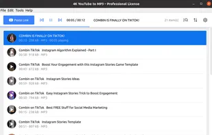4k YouTube to MP3 screenshot 1