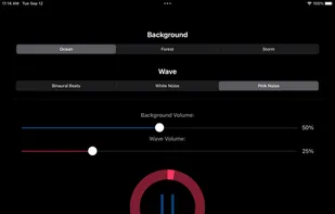 ZenZest screenshot 2