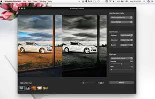 filmpack black and white
