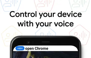 Voice Access screenshot 1