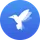 Bluebird icon