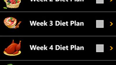 12 Weeks Plan
