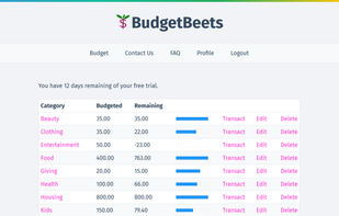 Budget categories overview