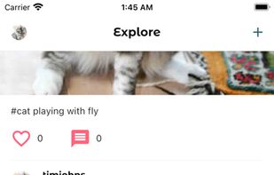 PetSpotting screenshot 3