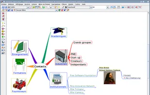 Organization of contacts