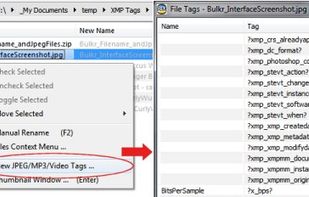 File List - Context Menu/File Tags