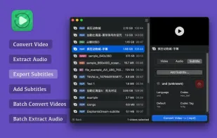 Videoer screenshot 3