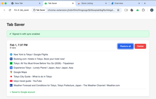 A bunch of travel research tabs saved for later