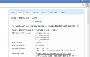 IP Address and Domain Information screenshot 1