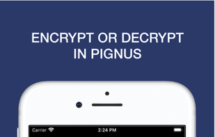 Pignus Encryption screenshot 3