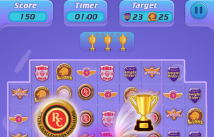 T20 Cricket Mania screenshot 3