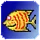 AndroFish icon