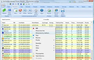 Yet Another (remote) Process Monitor screenshot 1