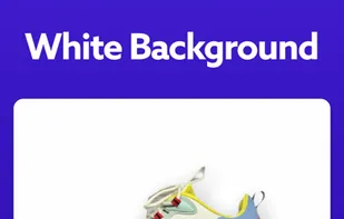 PhotoRoom screenshot 2