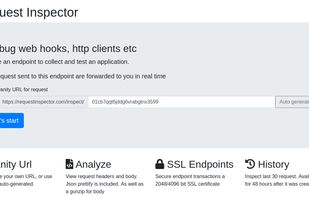 Request inspector screenshot 3
