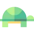 Turtle icon