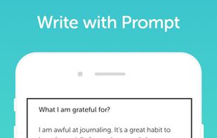 Grid Diary screenshot 3