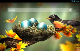 Season Zen Live Wallpaper screenshot 1