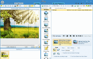 Split images into rows and columns.