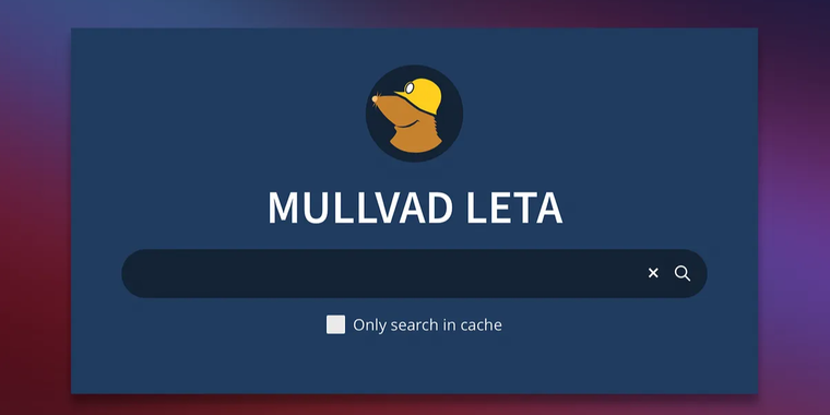 Mullvad will shut down its privacy-focused search proxy, Leta, on November 27, 2025