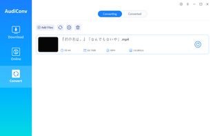 AudiConv screenshot 1