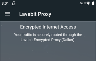 Lavabit Proxy screenshot 1