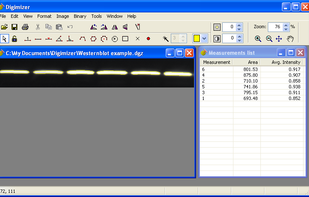 Digimizer screenshot 1