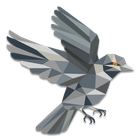 Sparrow Bitcoin Wallet icon