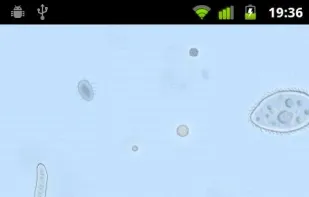 SwampWater Live Wallpaper screenshot 3