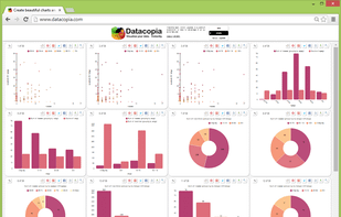 Datacopia screenshot 1