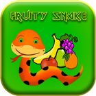 Fruity Snake Pro icon