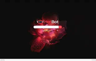 HotBot start page