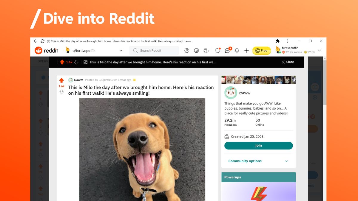 reddit-alternatives-25-social-networks-and-social-news-alternativeto