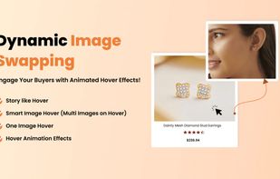 Magento 2 Image Hover Extension