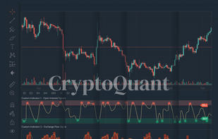 CryptoQuant screenshot 1