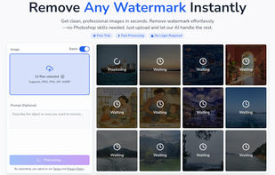 batch remove watermark - process