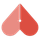 Miraquill icon