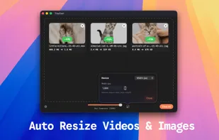 TinyFast screenshot 2