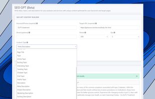 SEO GPT screenshot 1