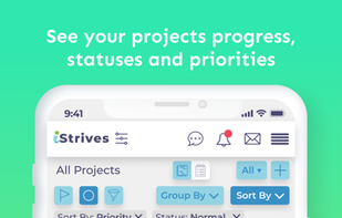 iStrives Mobile App: Project Management