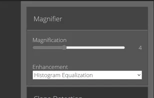 Forensically screenshot 1