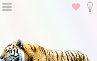 Play&amp;learn screenshot 1