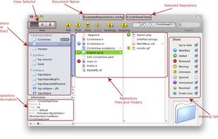 Document Window