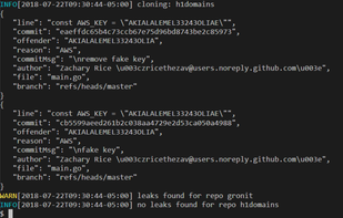 Gitleaks screenshot 1