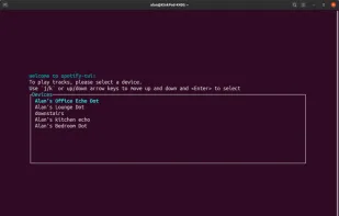 Spotify TUI screenshot 1